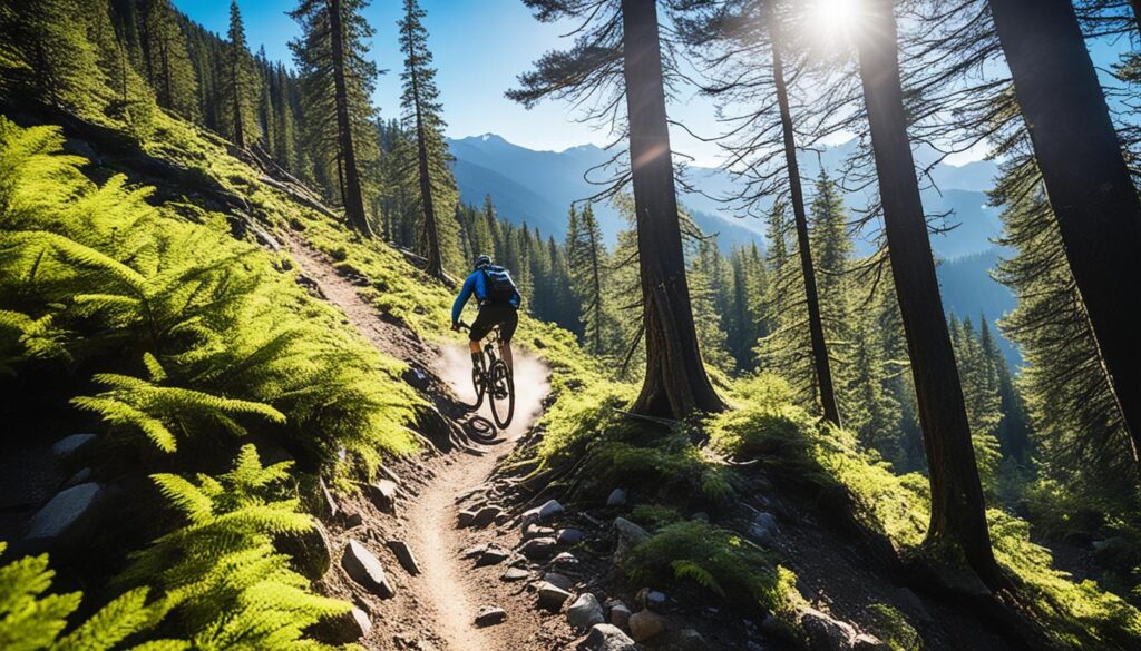 best UK biking trails