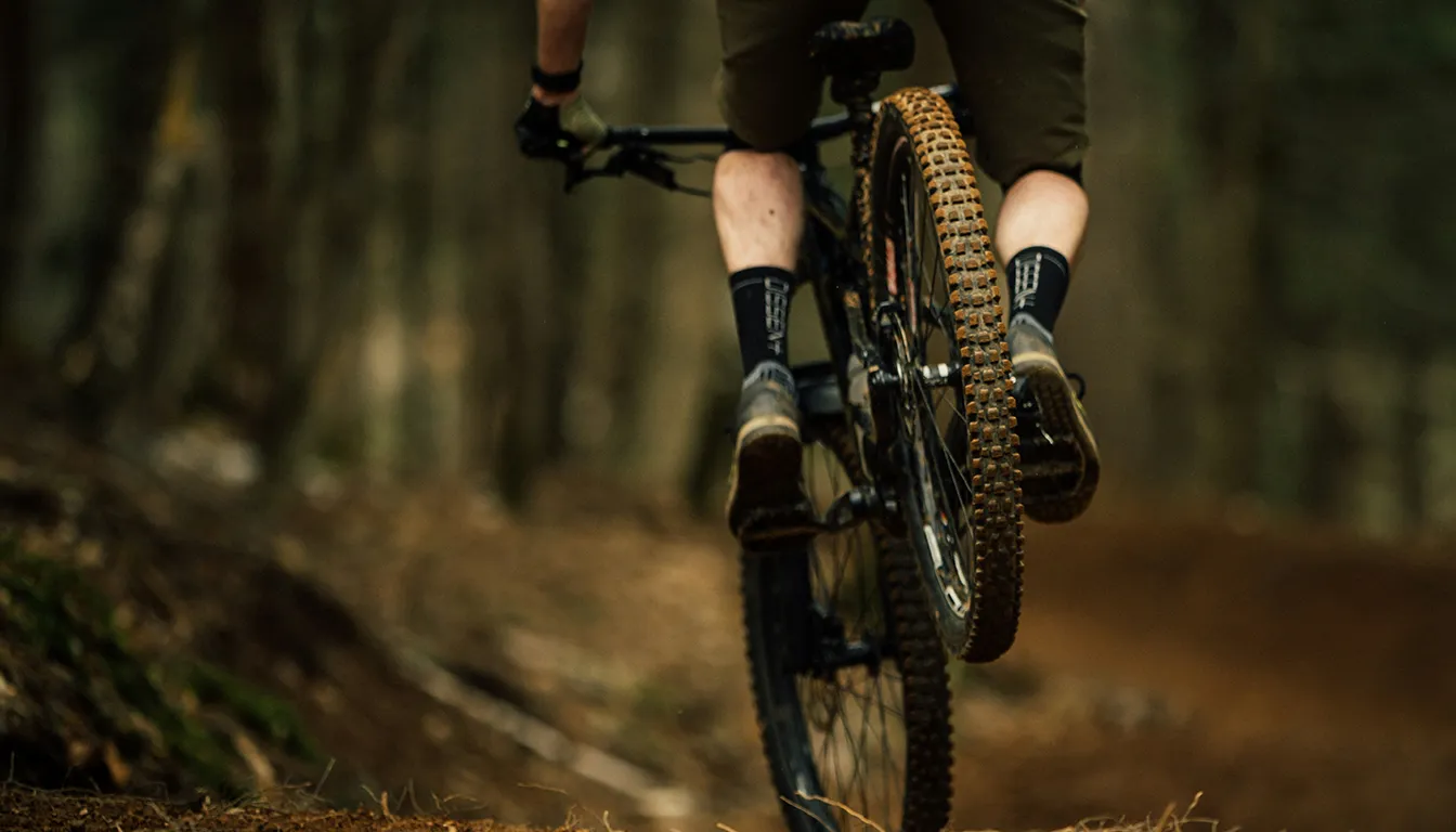 cleaning mountain bike